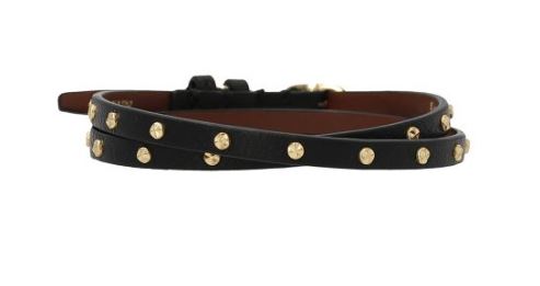 551156 1ACPK1001 ALEXANDER MCQUEEN
