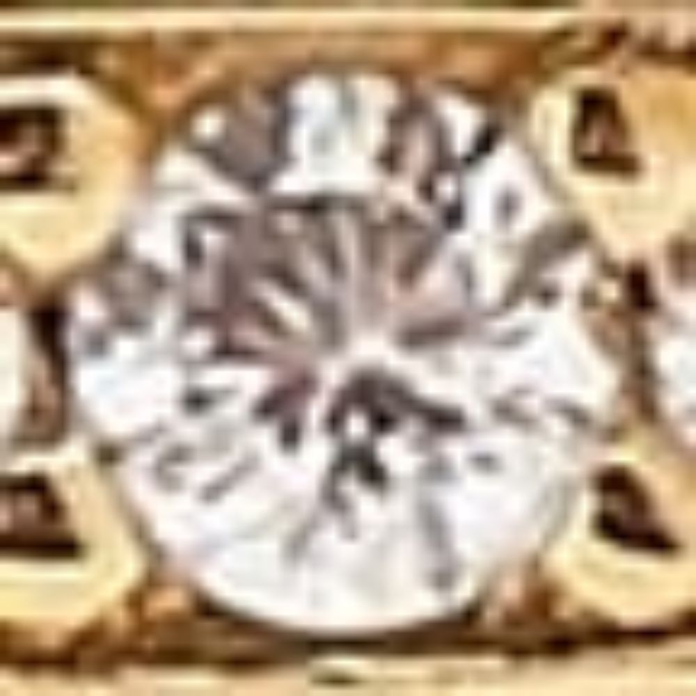 760007 760608ORO SALVATORE FERRAGAMO