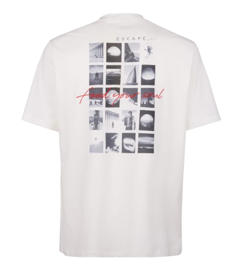 TS035* TJ149Y38 SEASE