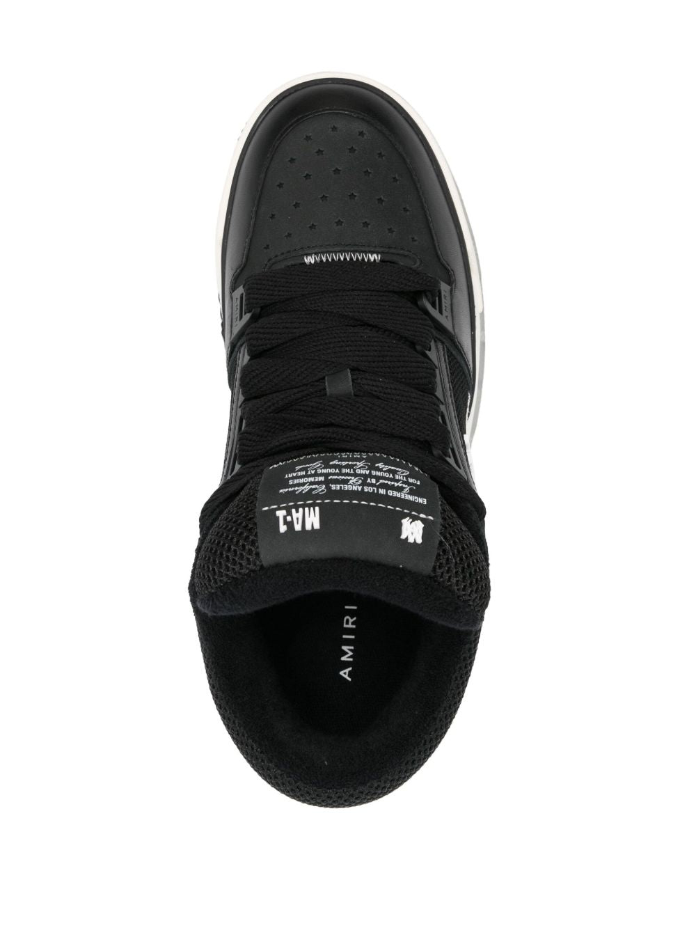 AMFOSR 1097001 AMIRI