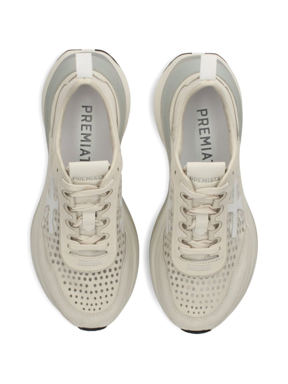 HILL #8242 PREMIATA