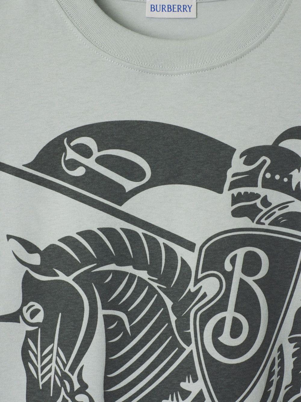 8104019 #C1753 BURBERRY
