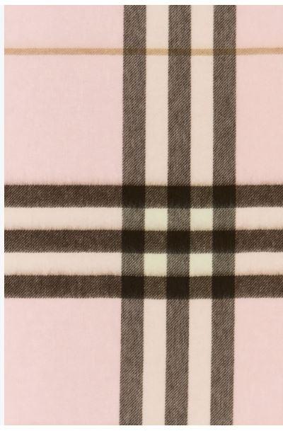 8113947 #C2902 BURBERRY