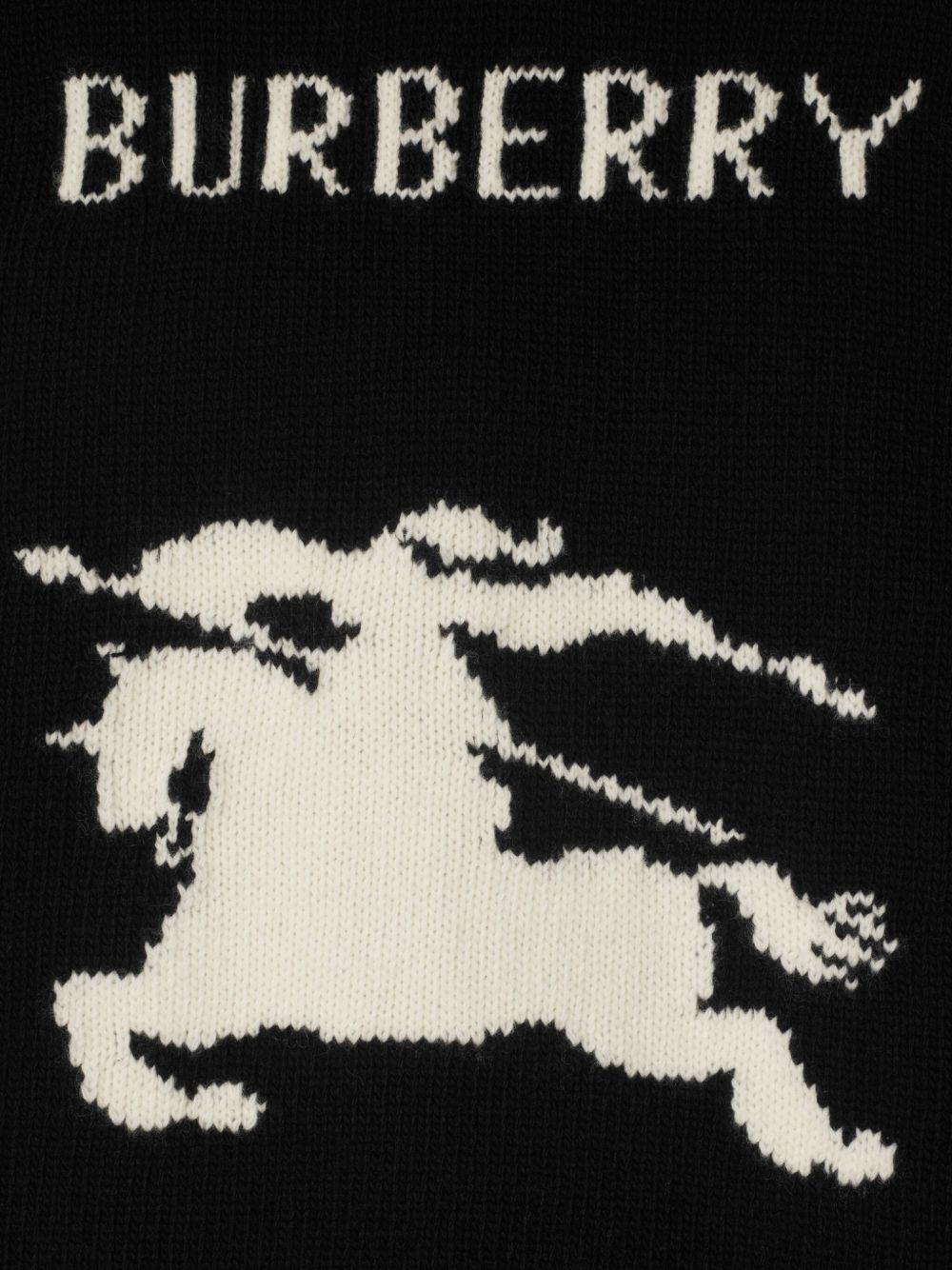 8103048 #A1189 BURBERRY