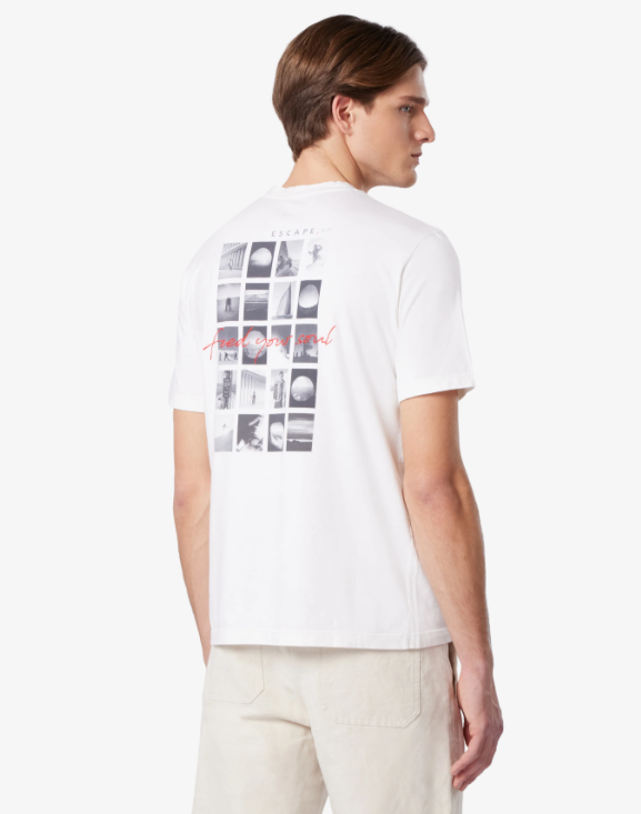 TS035* TJ149Y38 SEASE
