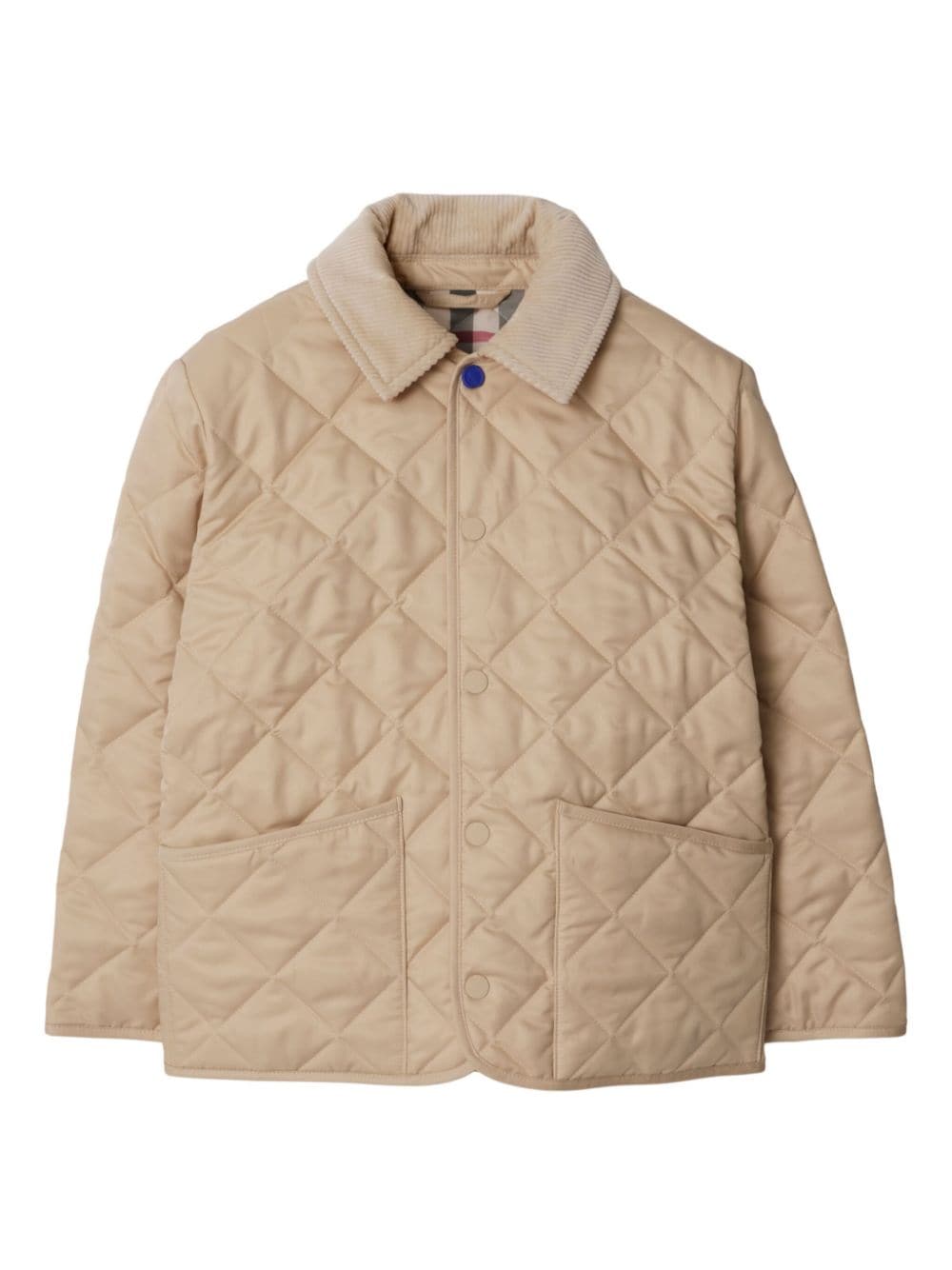 BURBERRY KIDS 8092457#A2015