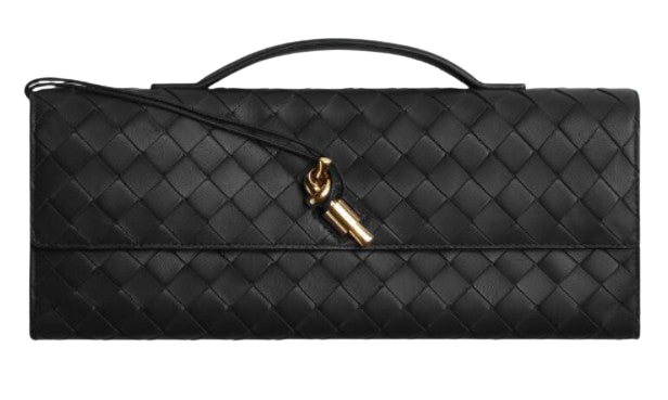 BOTTEGA VENETA 741511VCPP31019