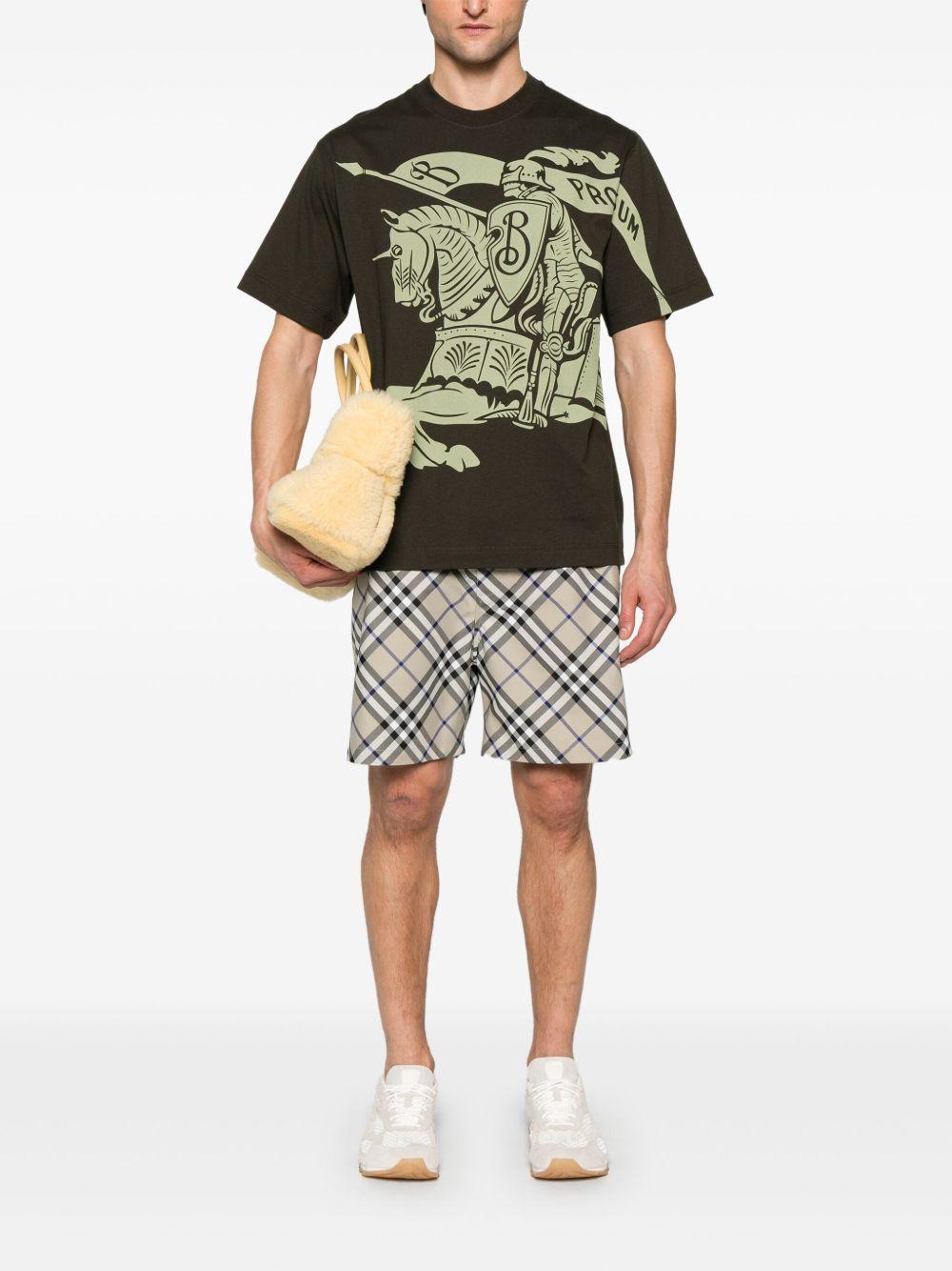 BURBERRY 8104018#C1749
