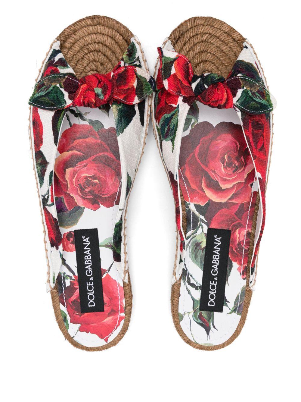  CE0149 A6514HA5KQ DOLCE E GABBANA 