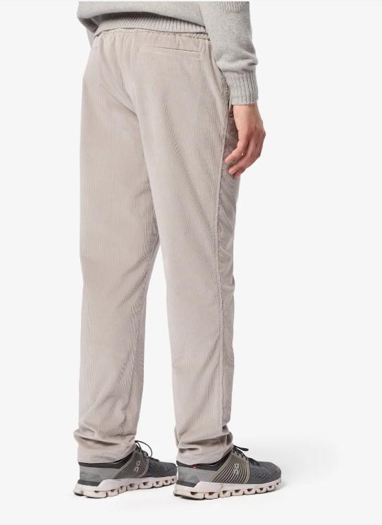  PT037* TN164N11 SEASE 