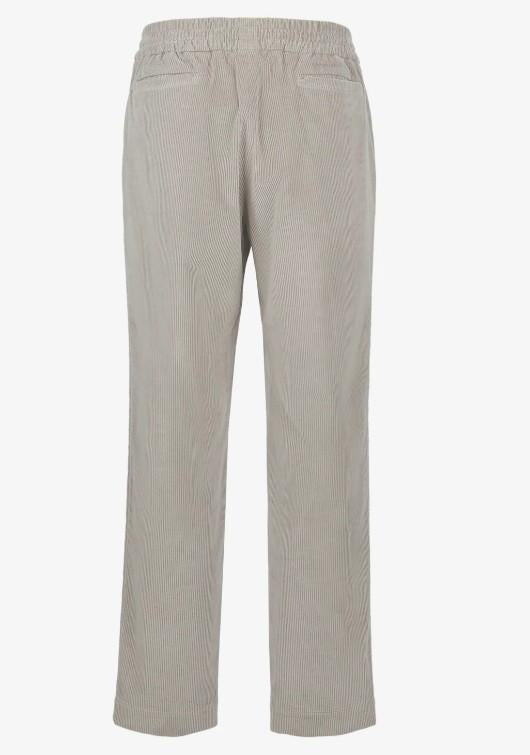  PT037* TN164N11 SEASE 