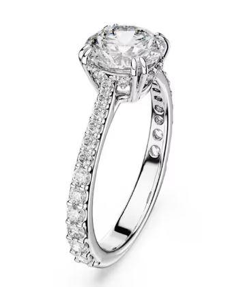  5645253  SWAROVSKI 
