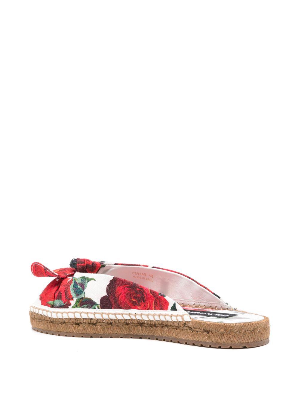  CE0149 A6514HA5KQ DOLCE E GABBANA 