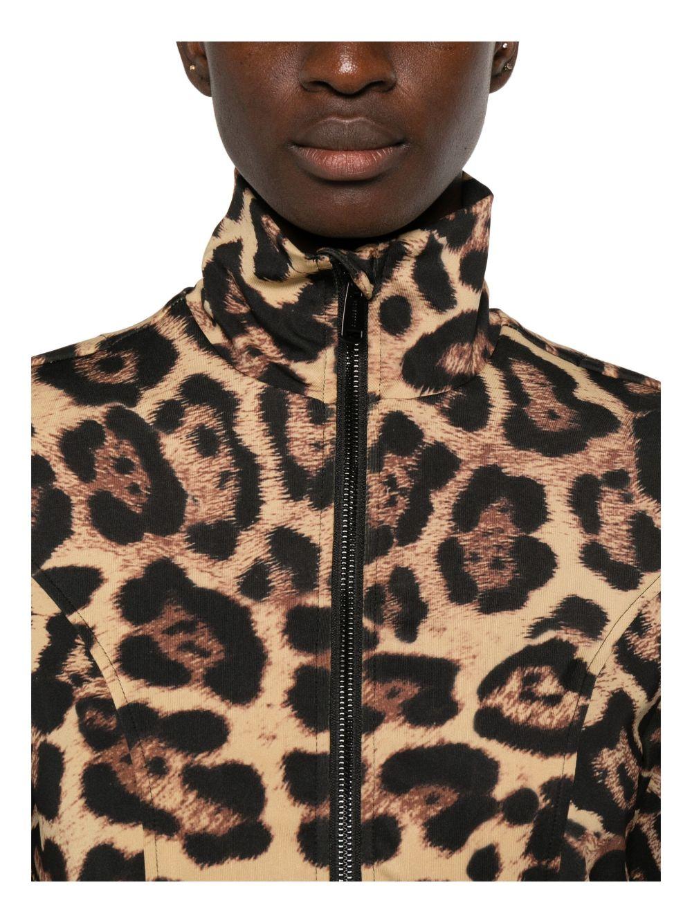  GB31120254 #7250 GOLDBERG 