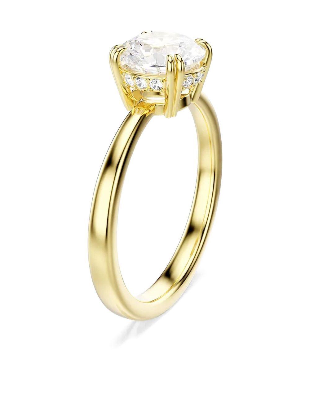  5723331  SWAROVSKI 