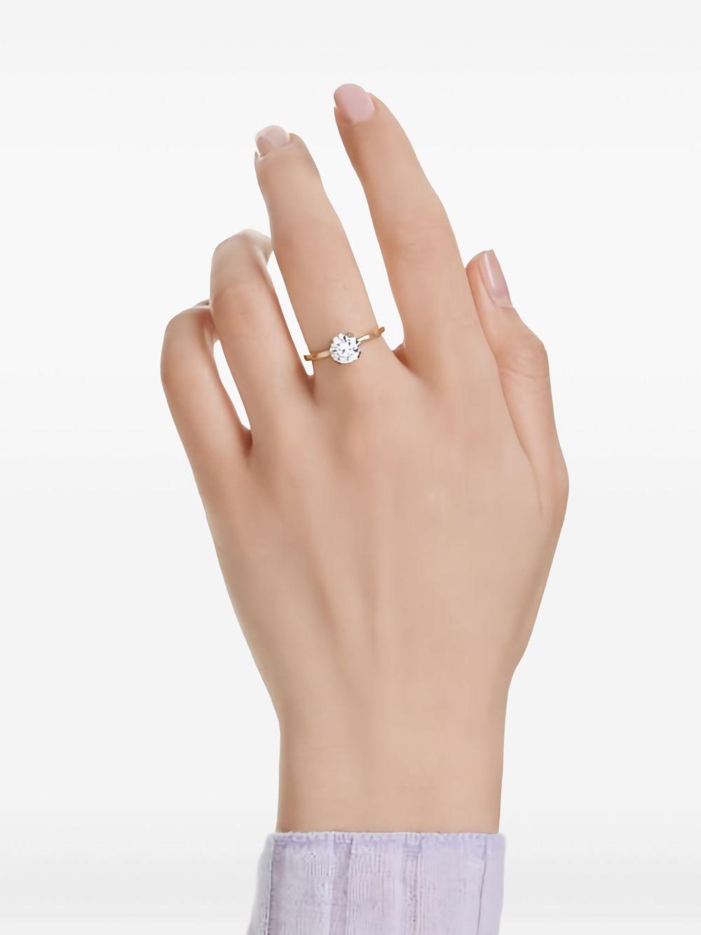 5717529  SWAROVSKI 