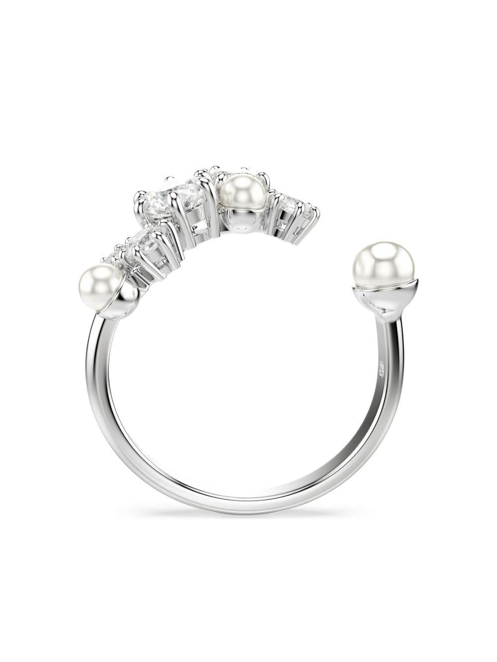  5705598  SWAROVSKI 