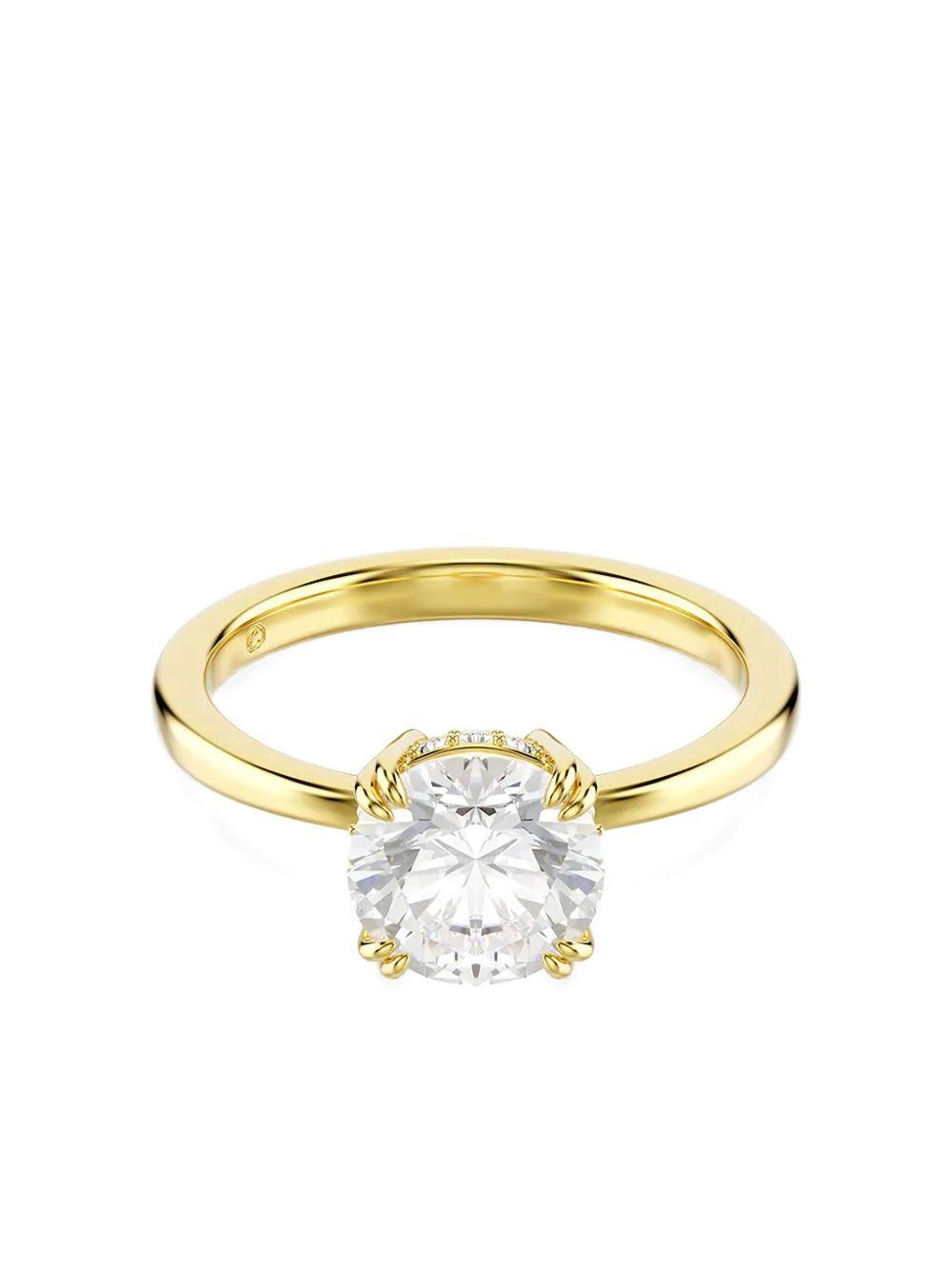  5723331  SWAROVSKI 